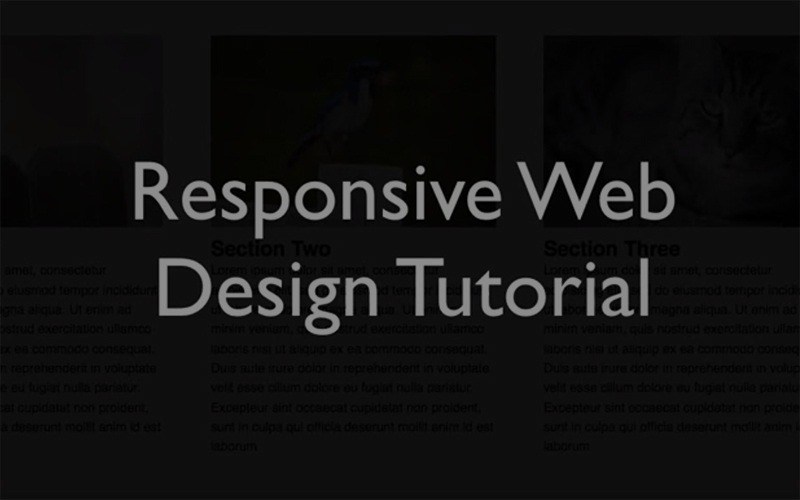 Responsive Web Design Tutorial 